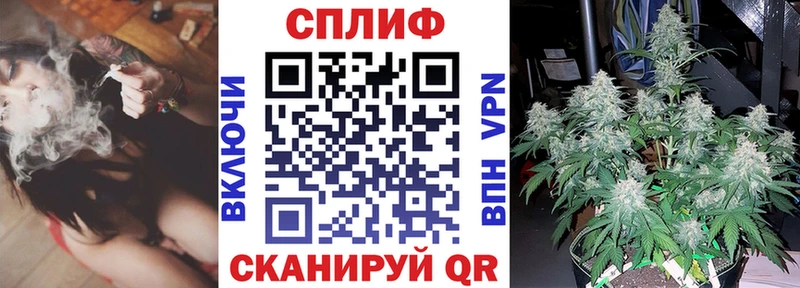 где найти наркотики  Терек  Бошки Шишки семена 